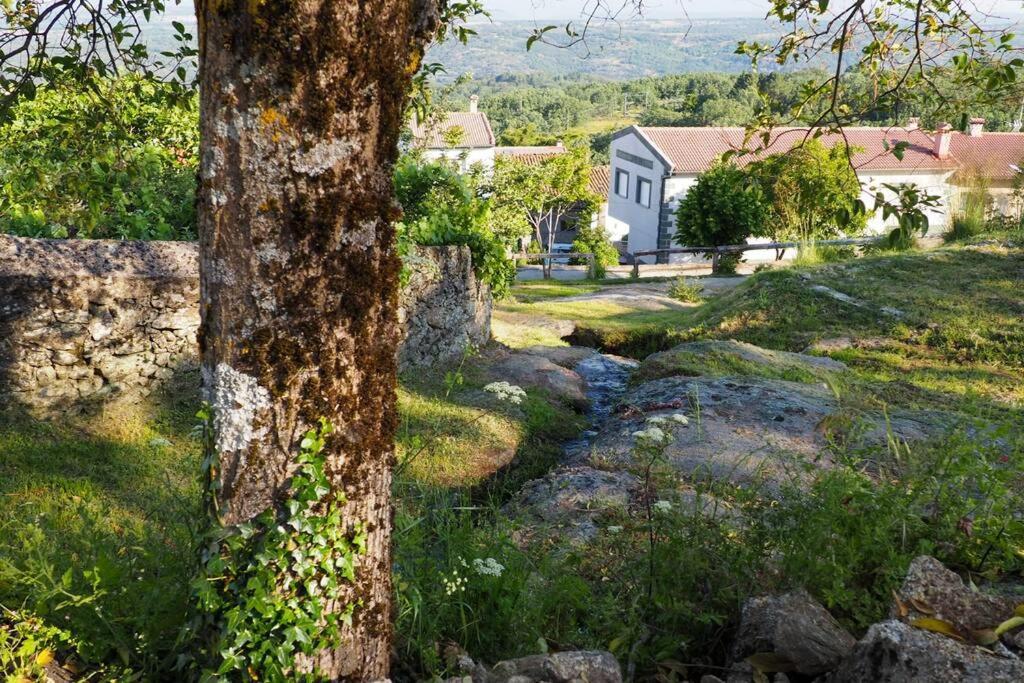 El Bosque De Los Romanos Διαμέρισμα Puerto de Béjar Εξωτερικό φωτογραφία