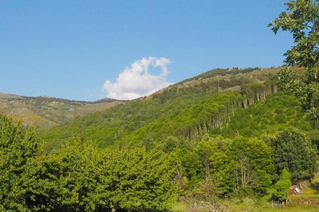 El Bosque De Los Romanos Διαμέρισμα Puerto de Béjar Εξωτερικό φωτογραφία