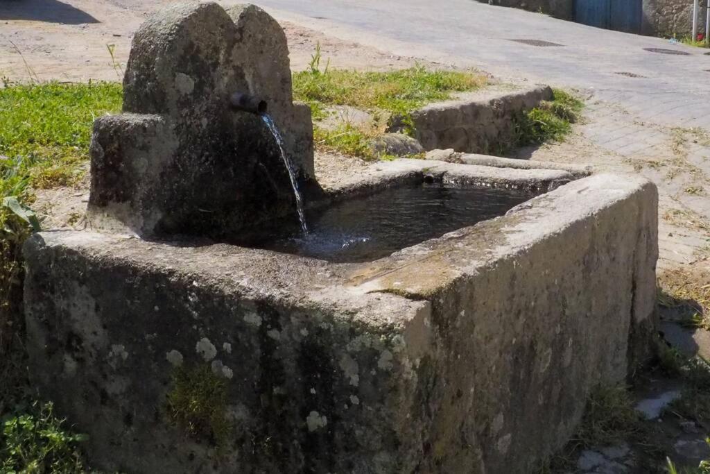 El Bosque De Los Romanos Διαμέρισμα Puerto de Béjar Εξωτερικό φωτογραφία