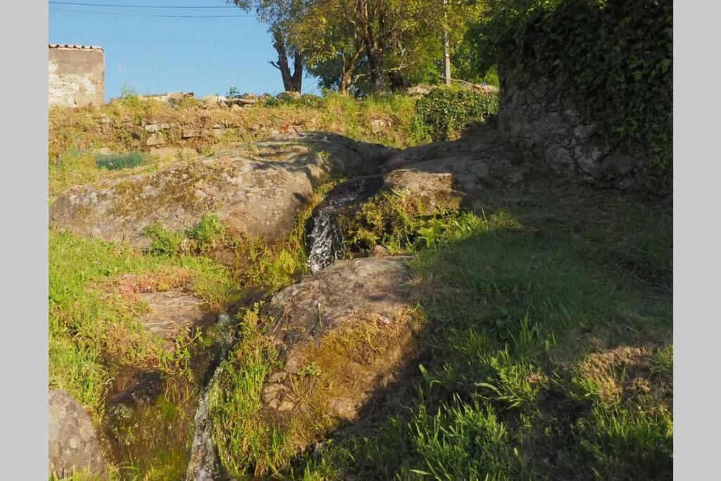 El Bosque De Los Romanos Διαμέρισμα Puerto de Béjar Εξωτερικό φωτογραφία